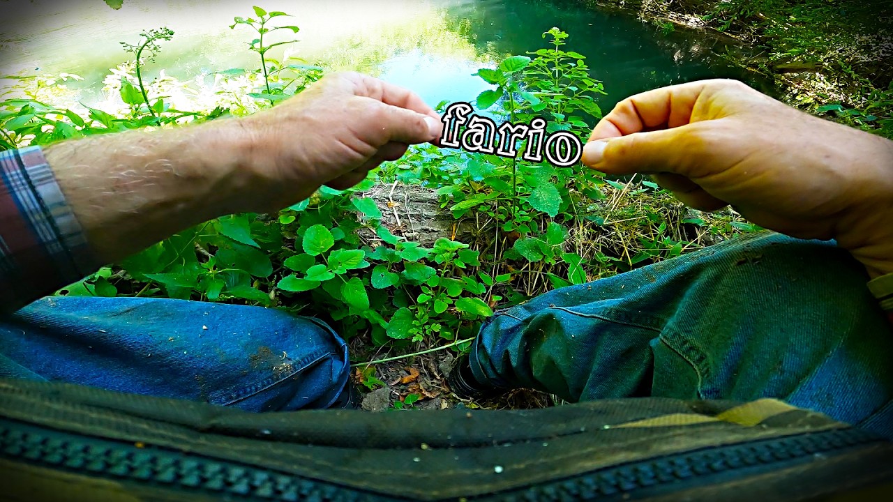 fario.Ep167
