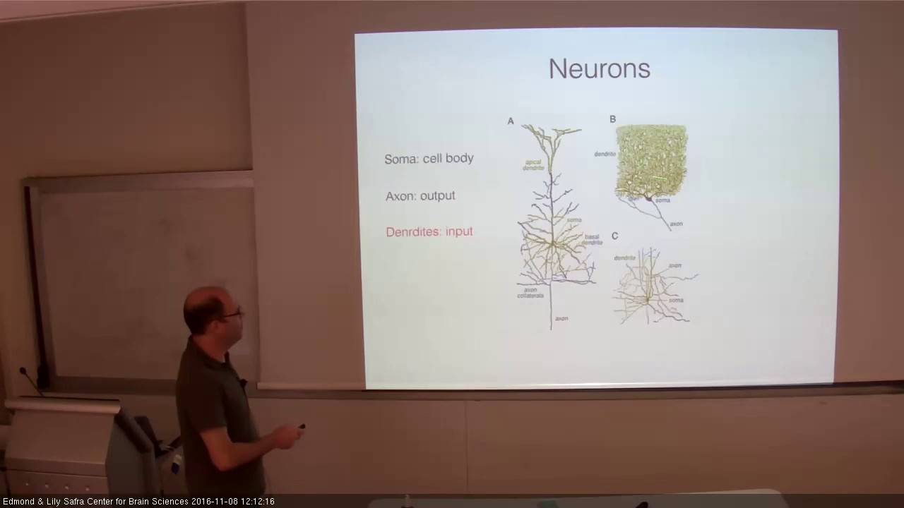 Theoretical and Computational Neuroscience 2  -  8.11.16