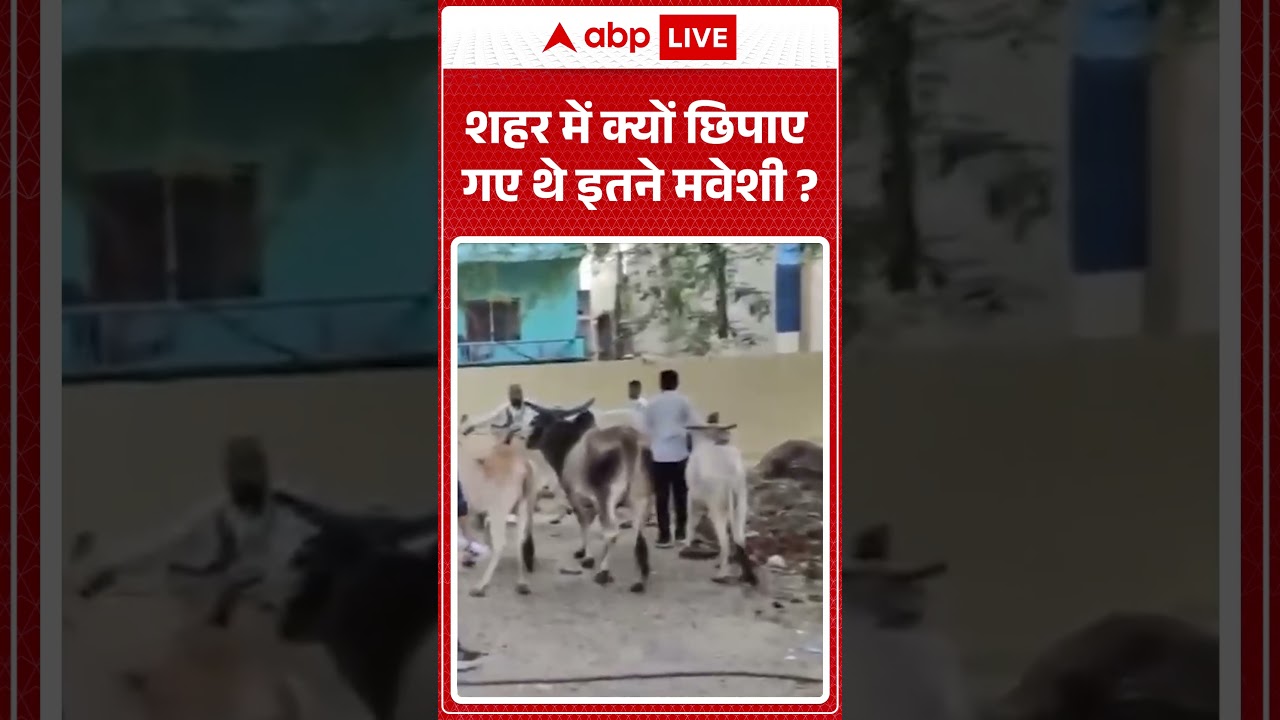 Bakrid Controversy : शहर में क्यों छिपाए गए थे इतने मवेशी | #qurbani #viralvideo #ytshorts #shorts