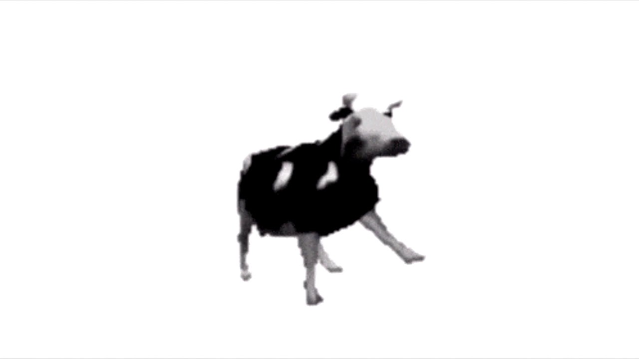 5 grams of cocaine (Polish Cow literal translation)