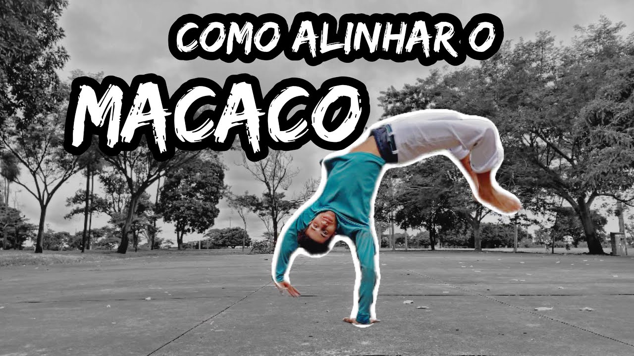 COMO ALINHAR O MACACO + dicas para o macaco 