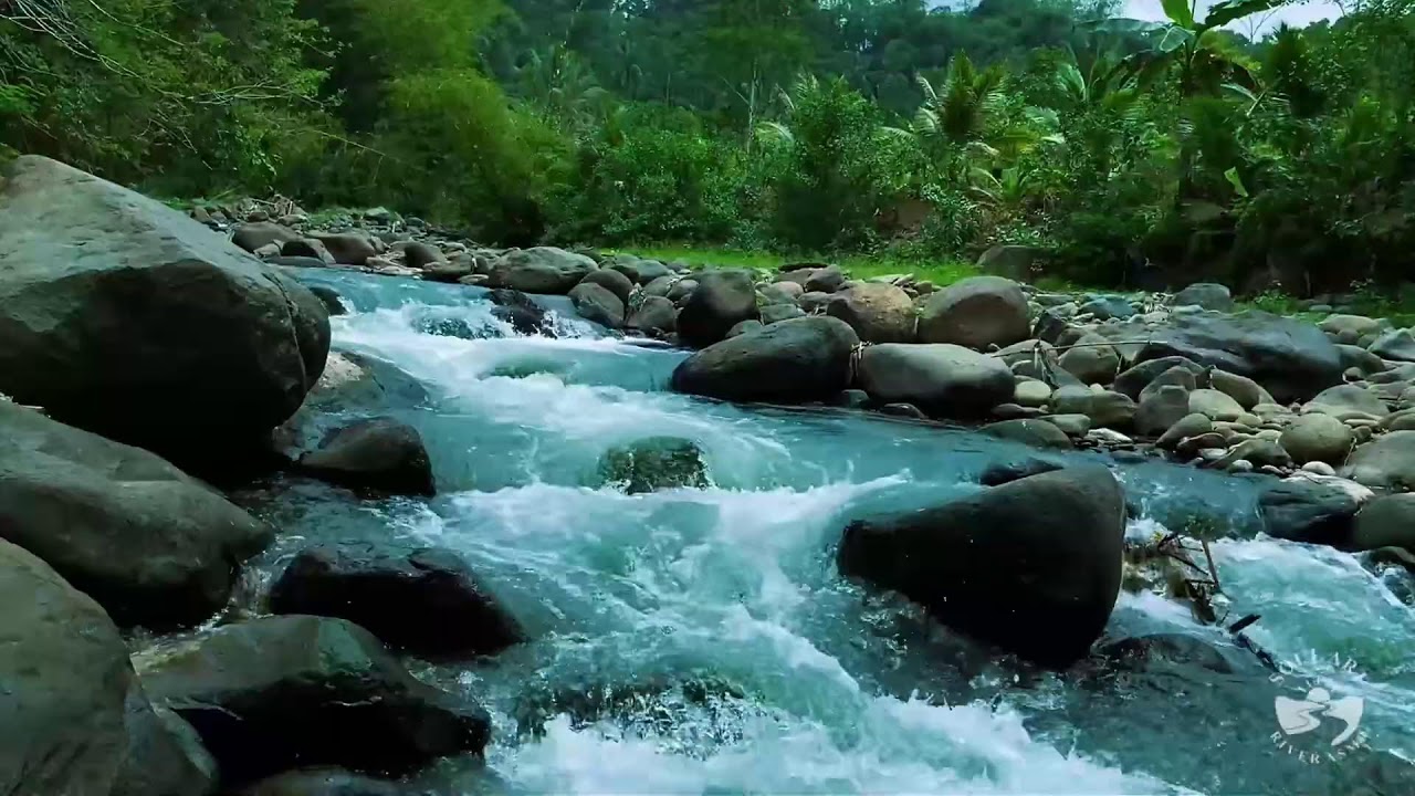 River Sounds for Sleeping Deep Sleep Natural River Flow Sounds for Relaxation
