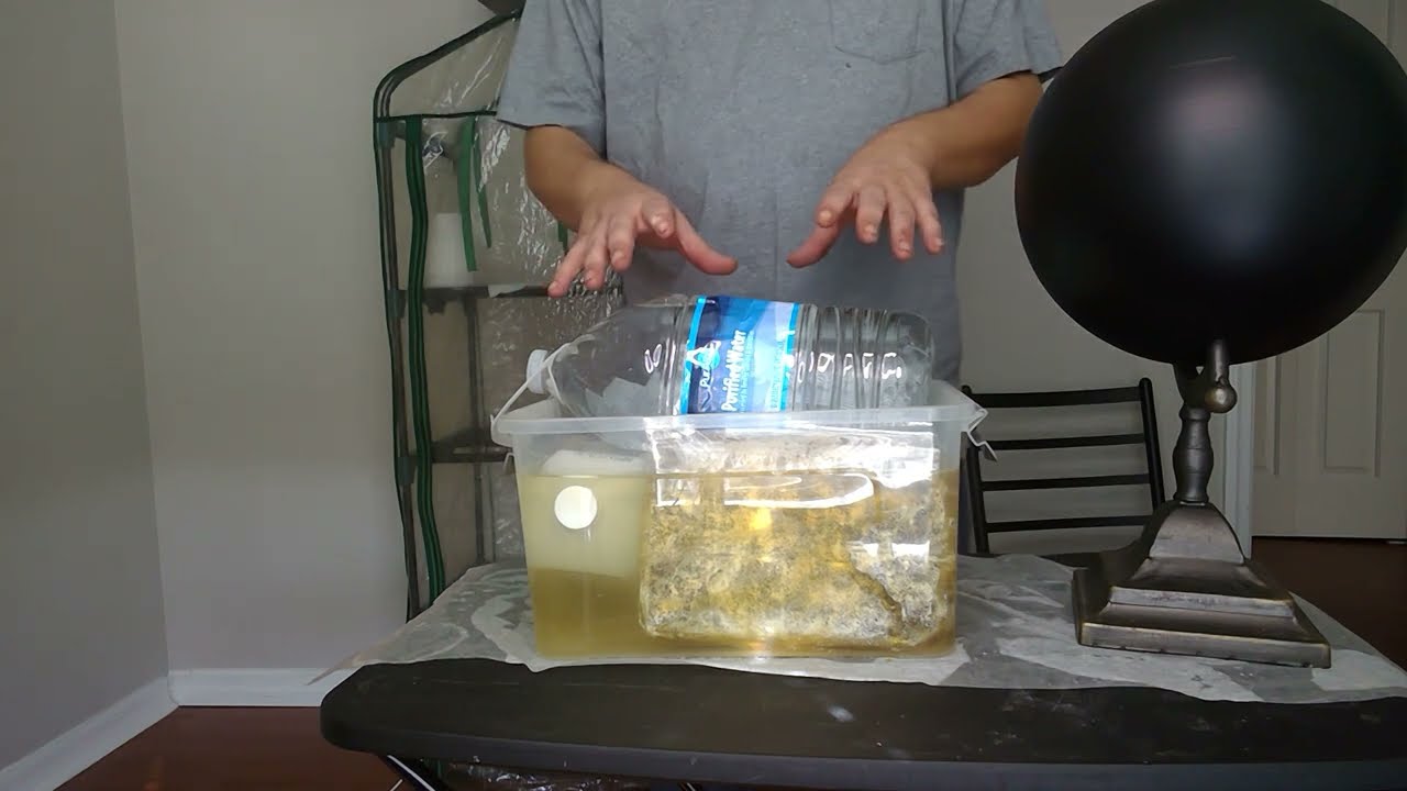 How To: Second Flush