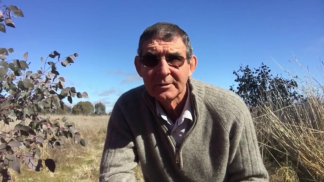Pasture composition and succession