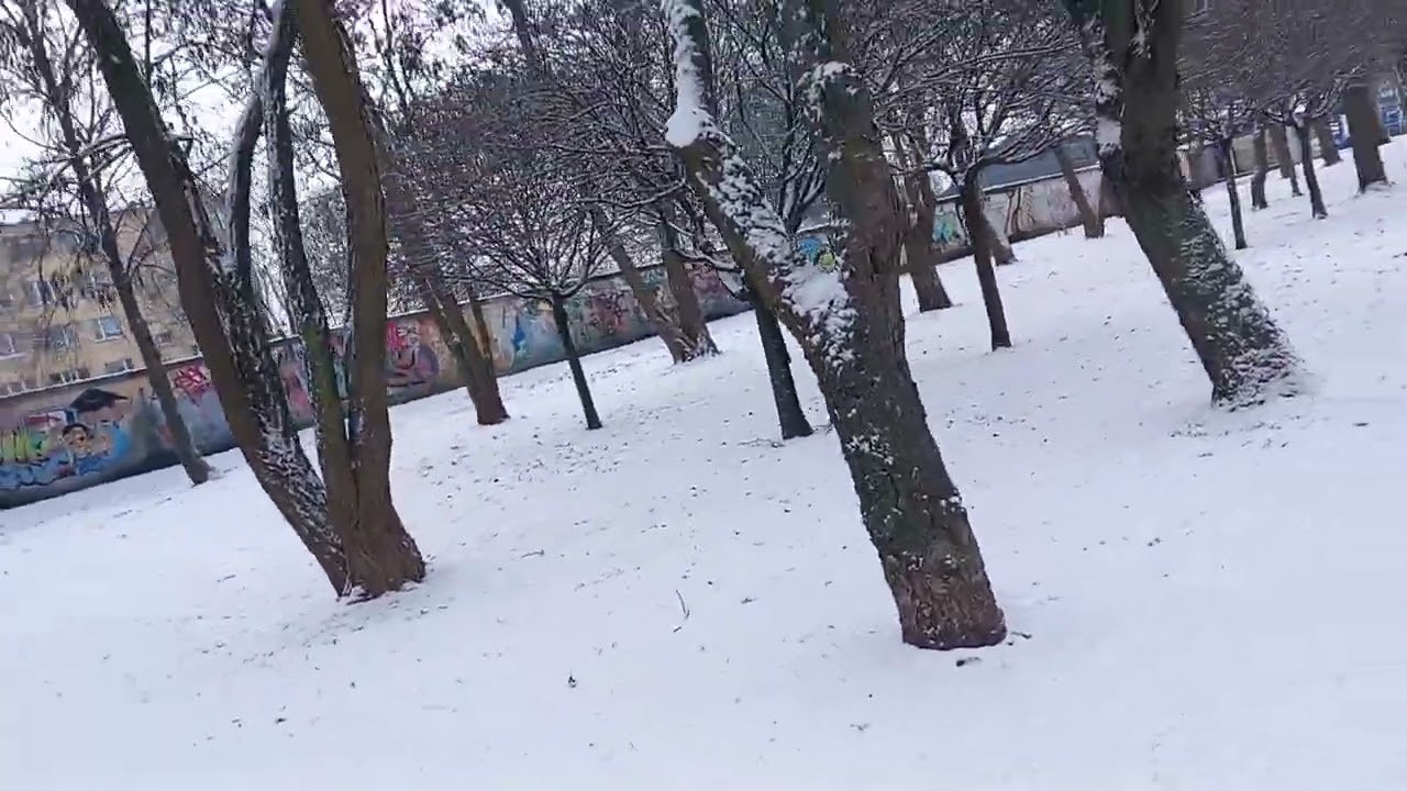 В нашей  семье  отношение к денежным средствам.