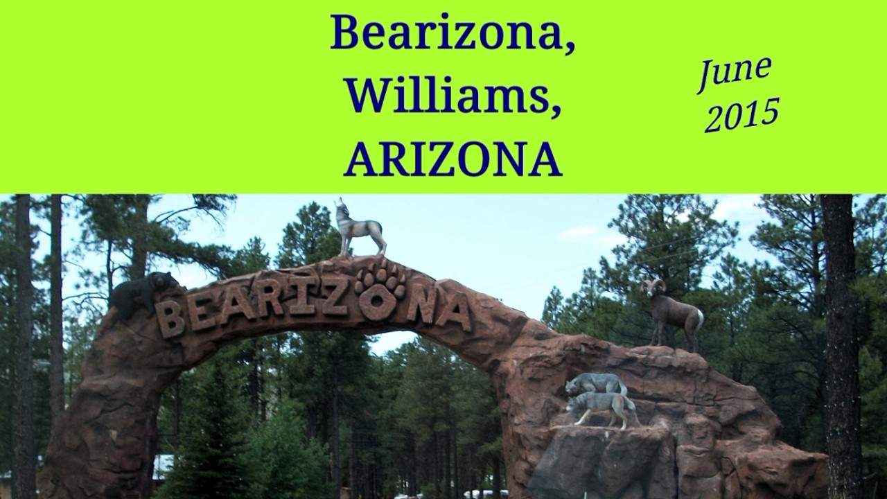 Arizona Williams Bearizona 2015