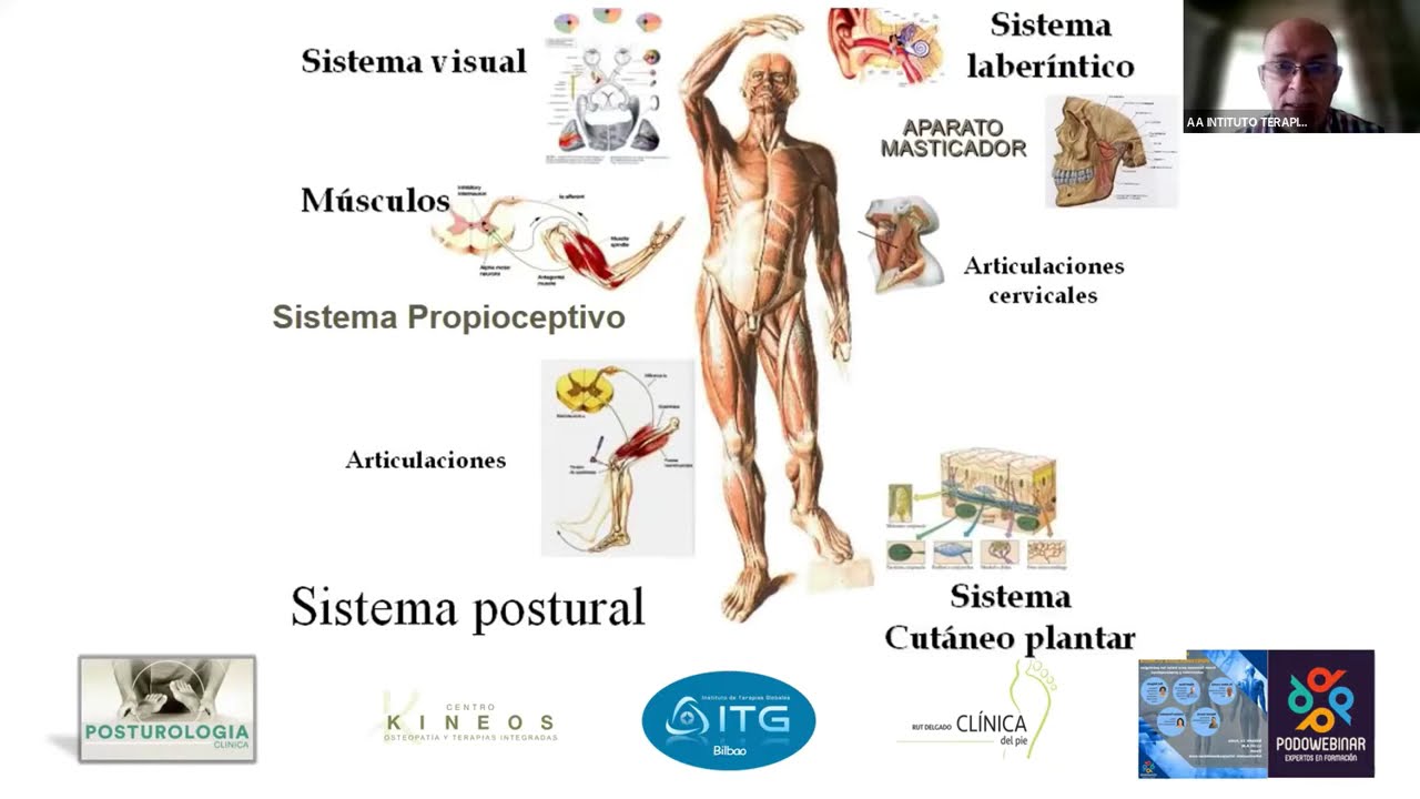 Curso de Posturología Clínica. Webinar presentación y ponencias.