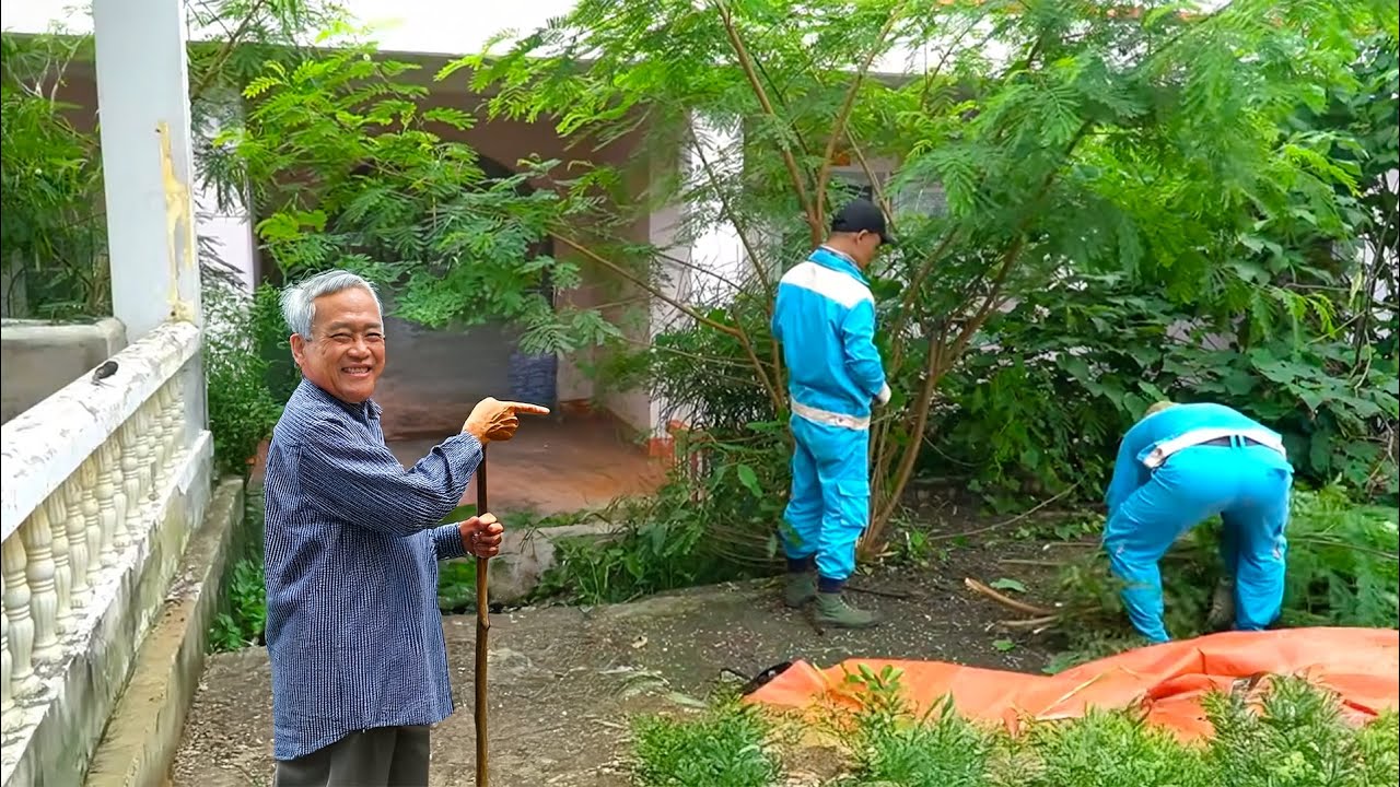 Hidden Secrets Revealed While Clearing the Overgrown Yard &ndash; Grandpa Couldn&rsquo;t Believe It! 😲🏡