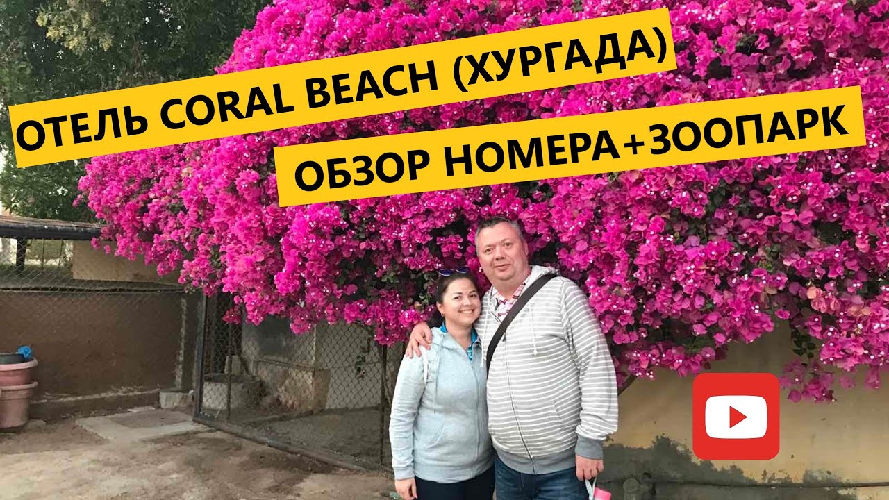 Путешествие в Египет/ч.5/Отель Coral Beach/Зоопарк в отеле+ обзор номера