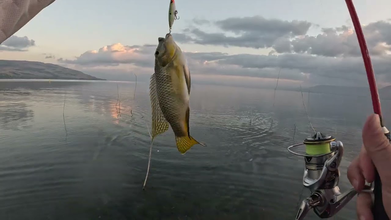 דיג בכנרת בחוף אחר וסיום העונה שלנו בכנרת 🎣Fishing on a different shore and ending our season Subs