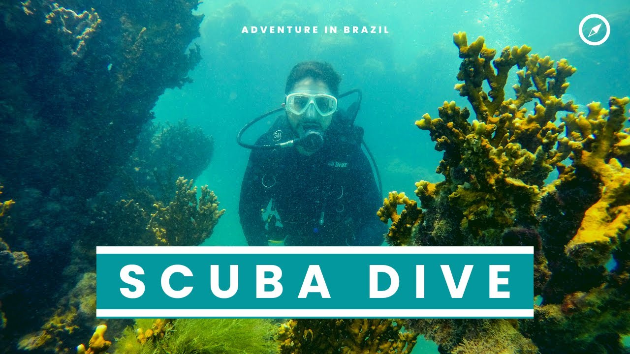 SCUBA DIVE in Macei&oacute;, Brazil | Deep Sea Dive | What is scuba dive | Most amazing experience