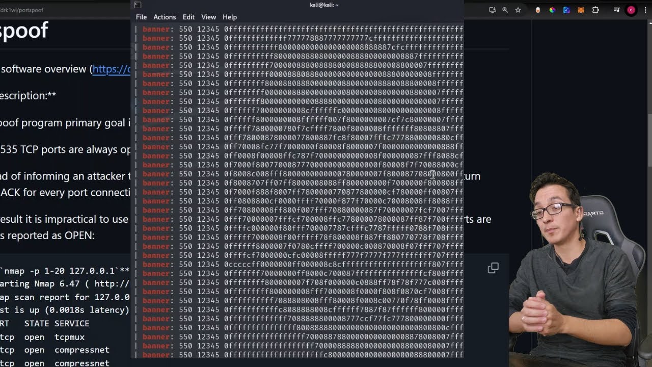 Every Port is Open... or Is It? The Art of Cyber Deception
