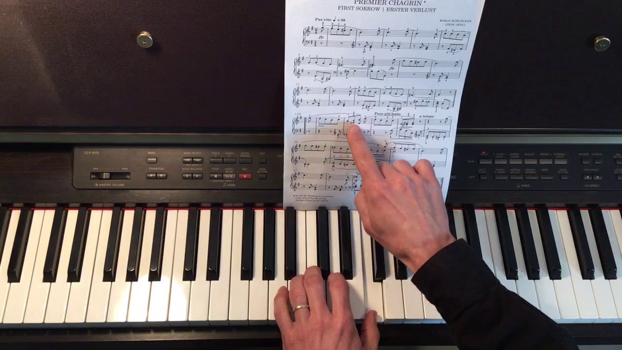 Premier chagrin-Schumann