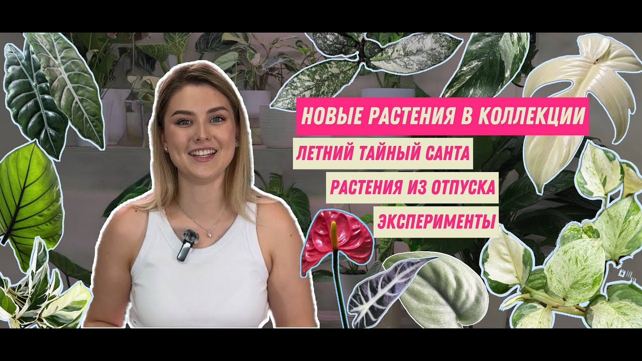 20+ растений в сезоне 2025. Тайный Санта. Покупки из Сочи. Эксперименты и выводы.