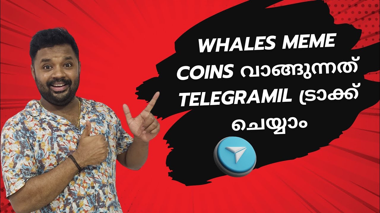How to track whales Buy via Telegram BOT | Trade with Whales | $100 to $1000