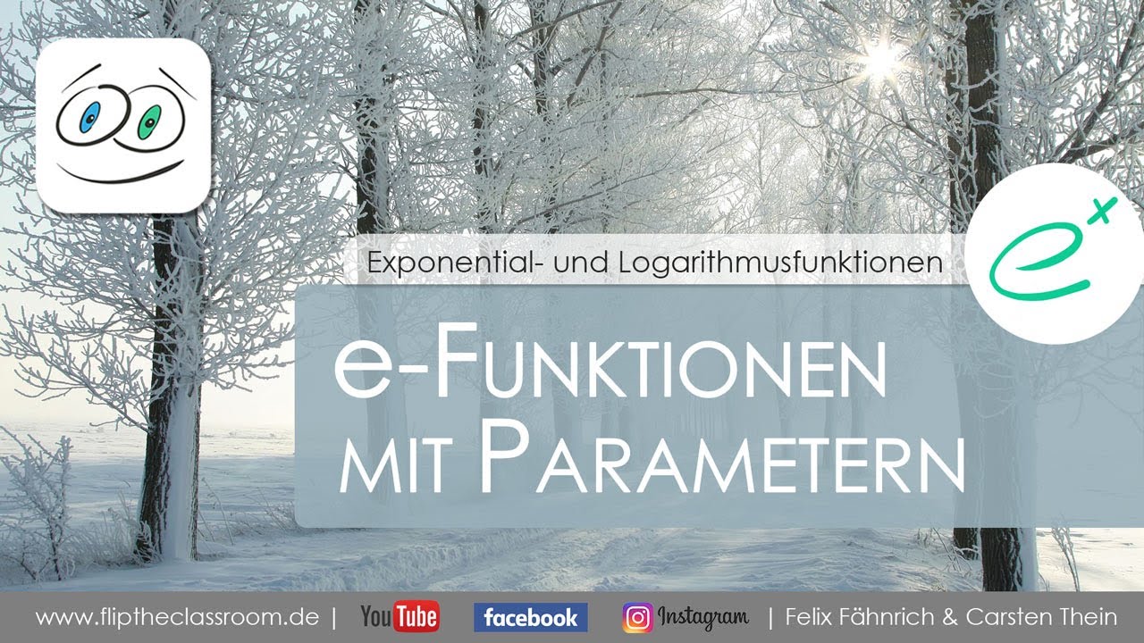 e-Funktionen mit Parameter - Graph und Ableitung | Exponential- und Logarithmusfunktionen | Flip...