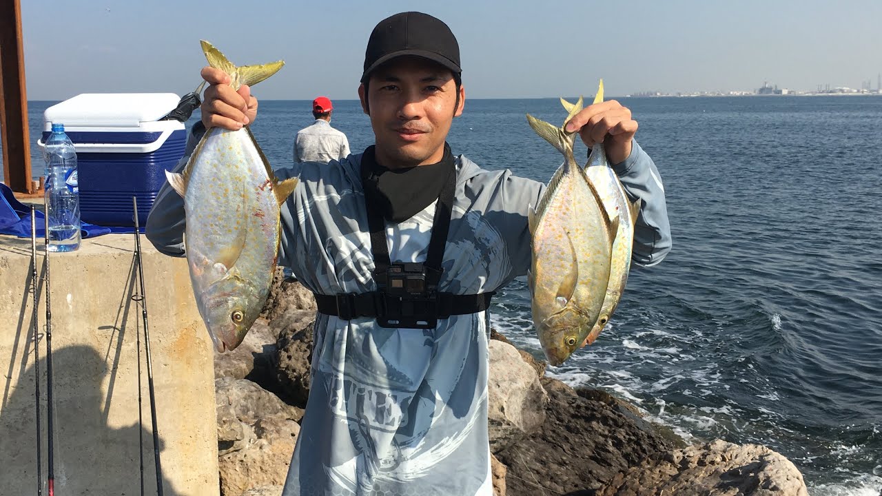 Frenzy GS Trevally | Shore Jigging | Best Fishing spot UAE | Al Zorah Ajman | Best Jig for Trevally