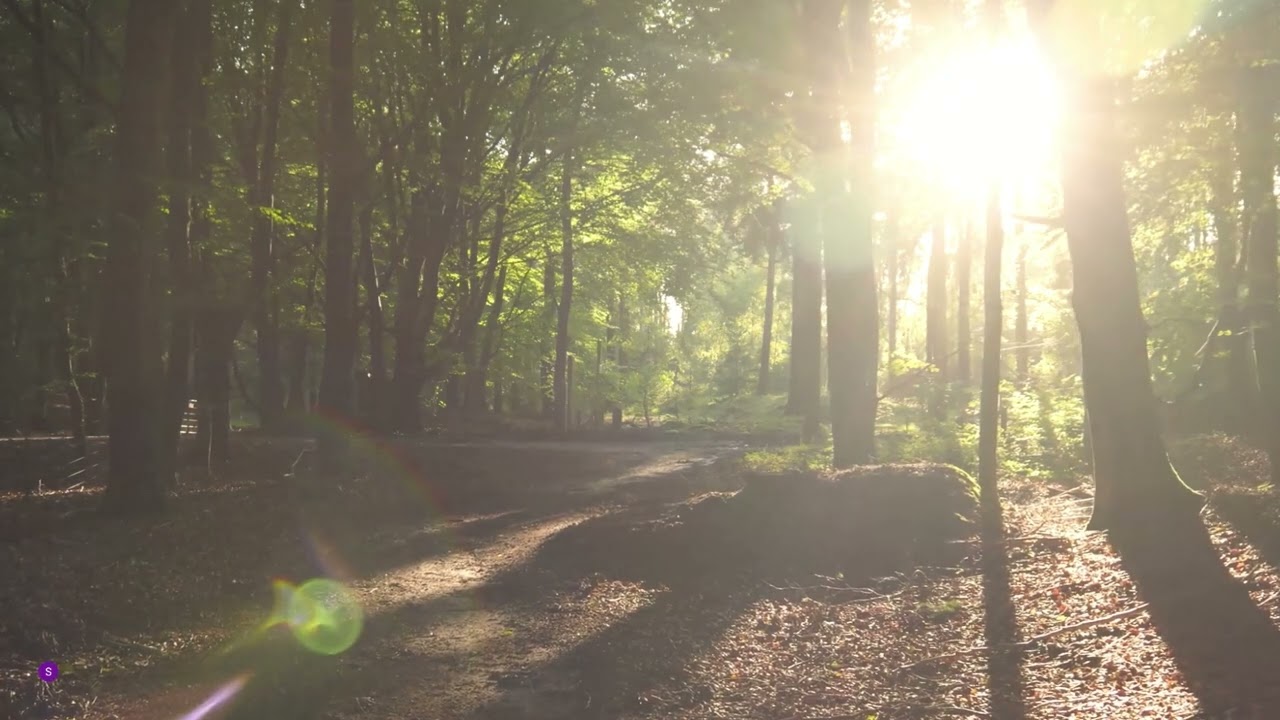 5 minuters avslappning p&aring; jobbet - guidad meditation f&ouml;r stress & fokus