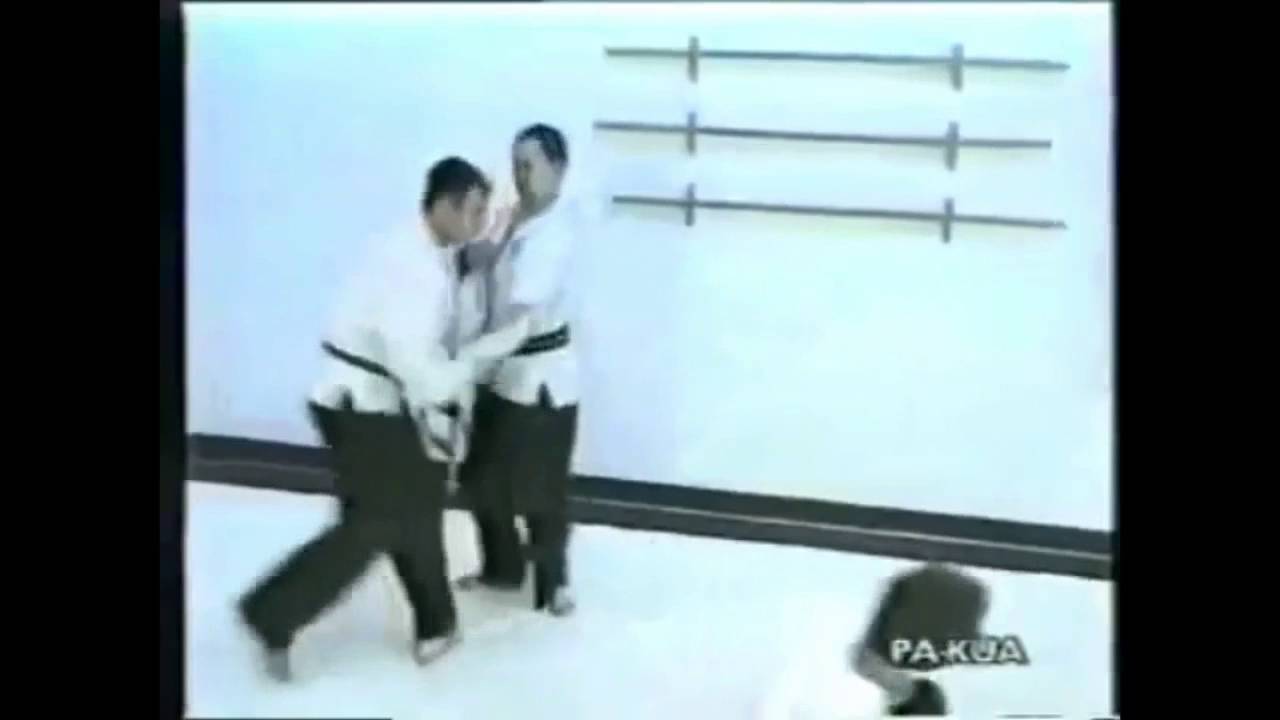 El ultimo maistro de Pakua (Made In Argentina)