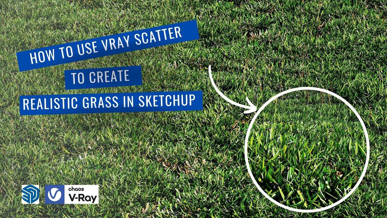 How to Create Realistic Grass in Sketchup using Vray Scatter
