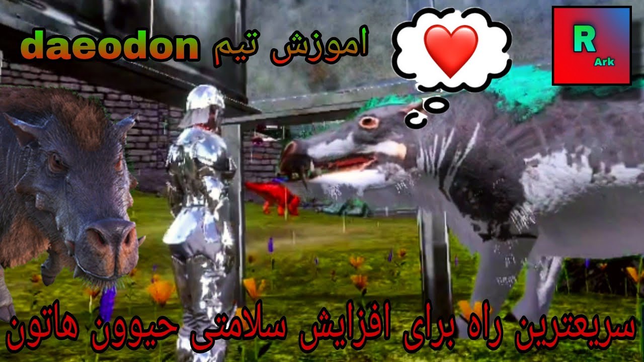 اموزش تیم daeodon | سریع ترین روش برای افزایش سلامتی حیووناتون | RooS Ark