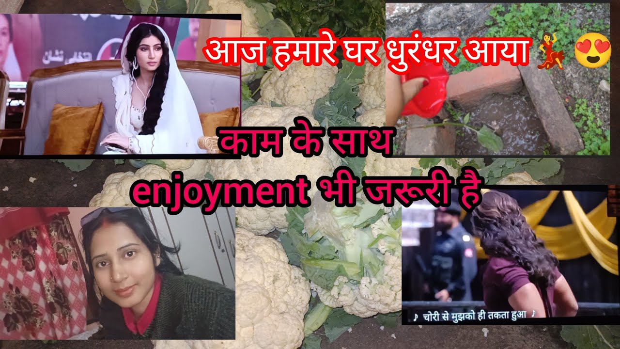 Vlog#45 काम के साथ enjoyment भी जरूरी है #dailyblog #familyvidei #tensionfree
