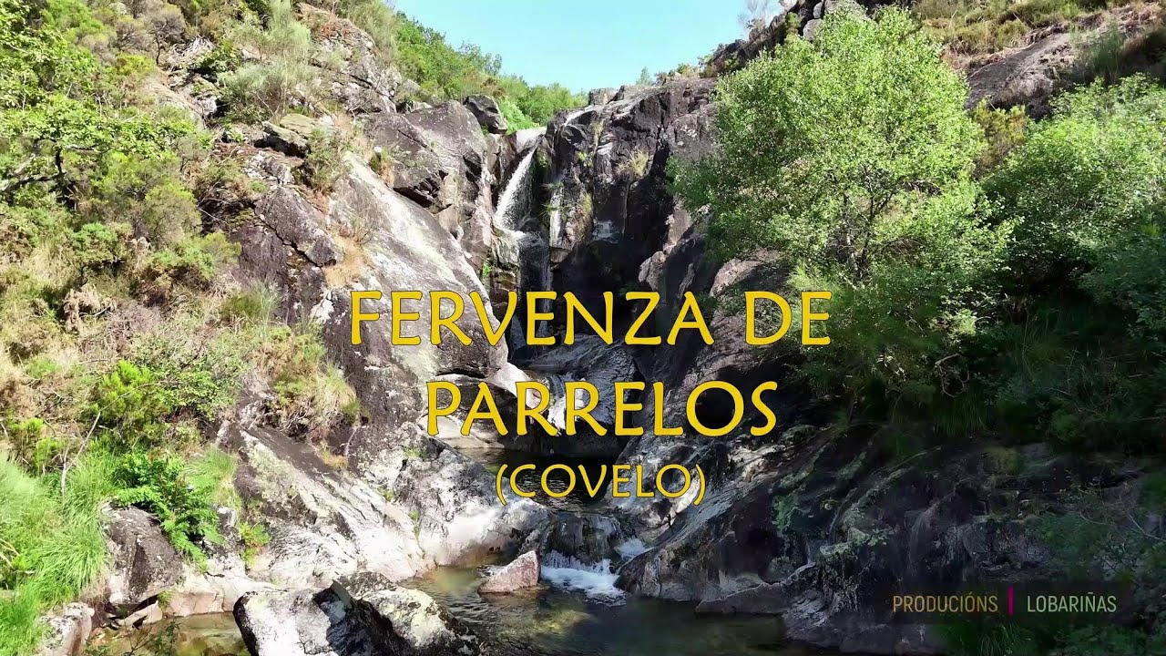 FERVENZA DE PARRELOS (Covelo)
