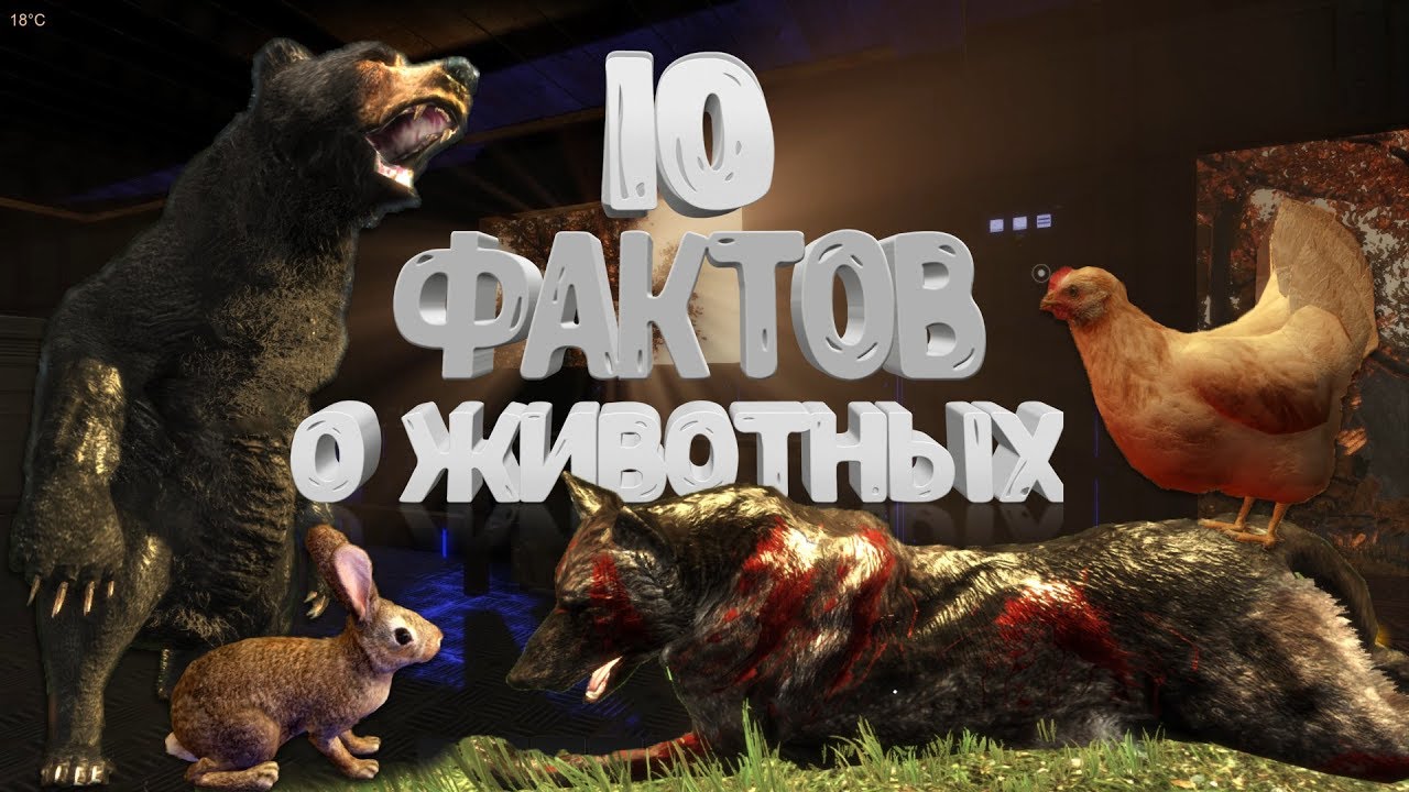 [Subsistence] 10 фактов о животных, которых вы не знали!