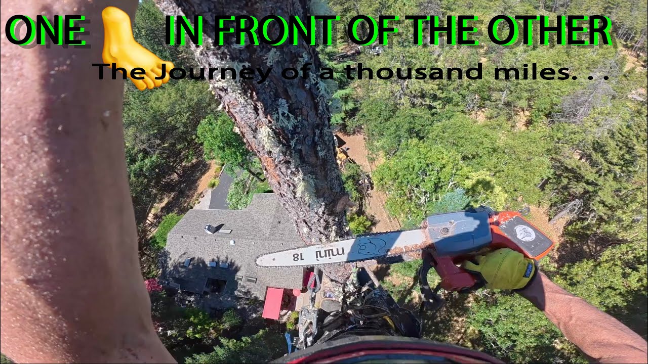 Cutting a Tall Pine With Some Unexpected Problems