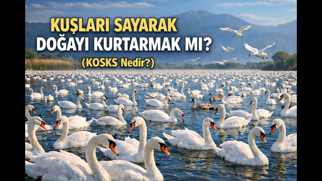 Soğuk ve Yağmurda Buradayız: Ama Neden?