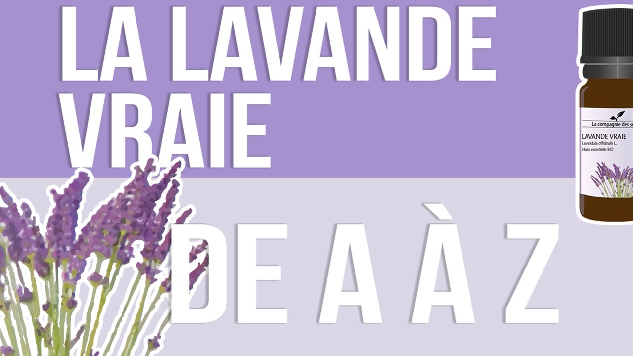 [HUILES ESSENTIELLES] À la découverte de la Lavande Vraie