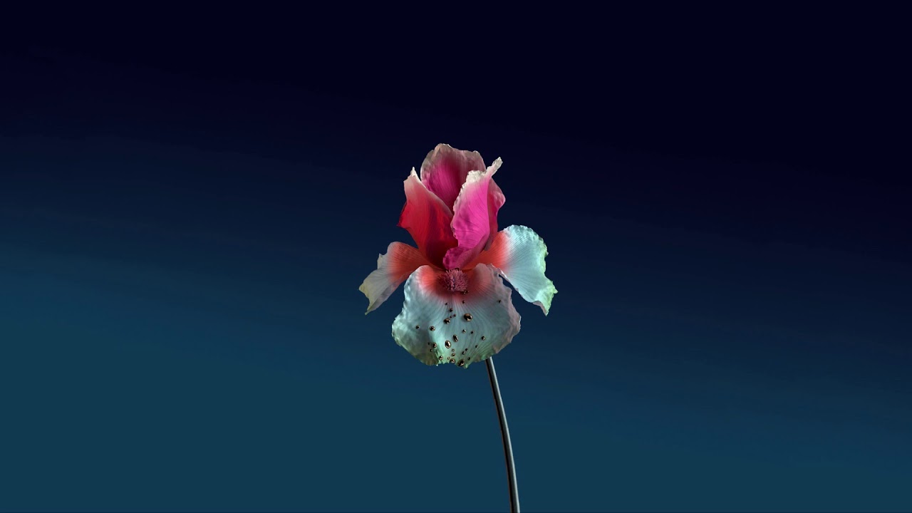 Flume - Ghost ft Beyoncé