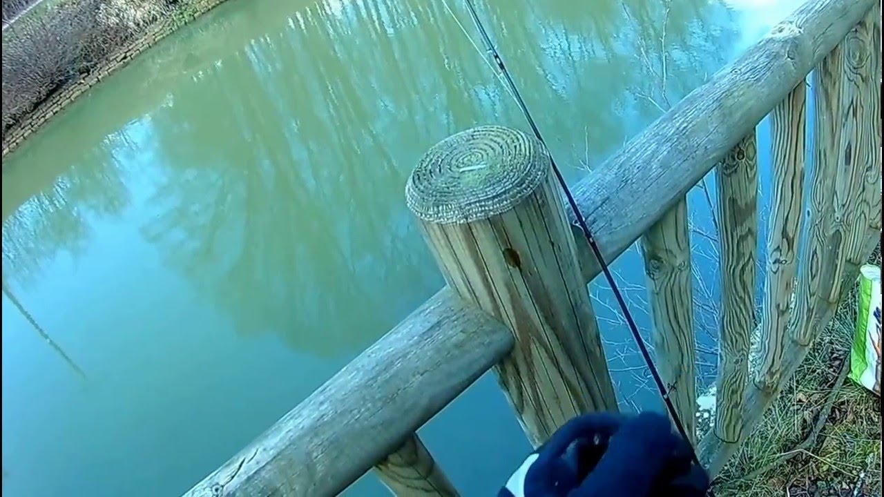 Tuto pêche au ver de terre + pêche de la perche et du poisson blanc en direct (HD)No Kill
