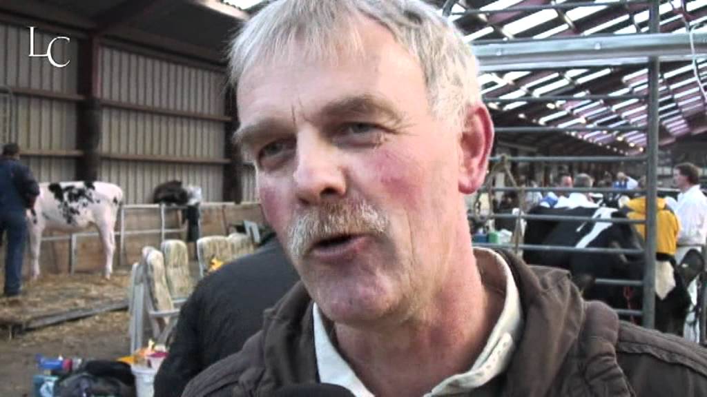 Rundvee steelt show tijdens Friese keuring