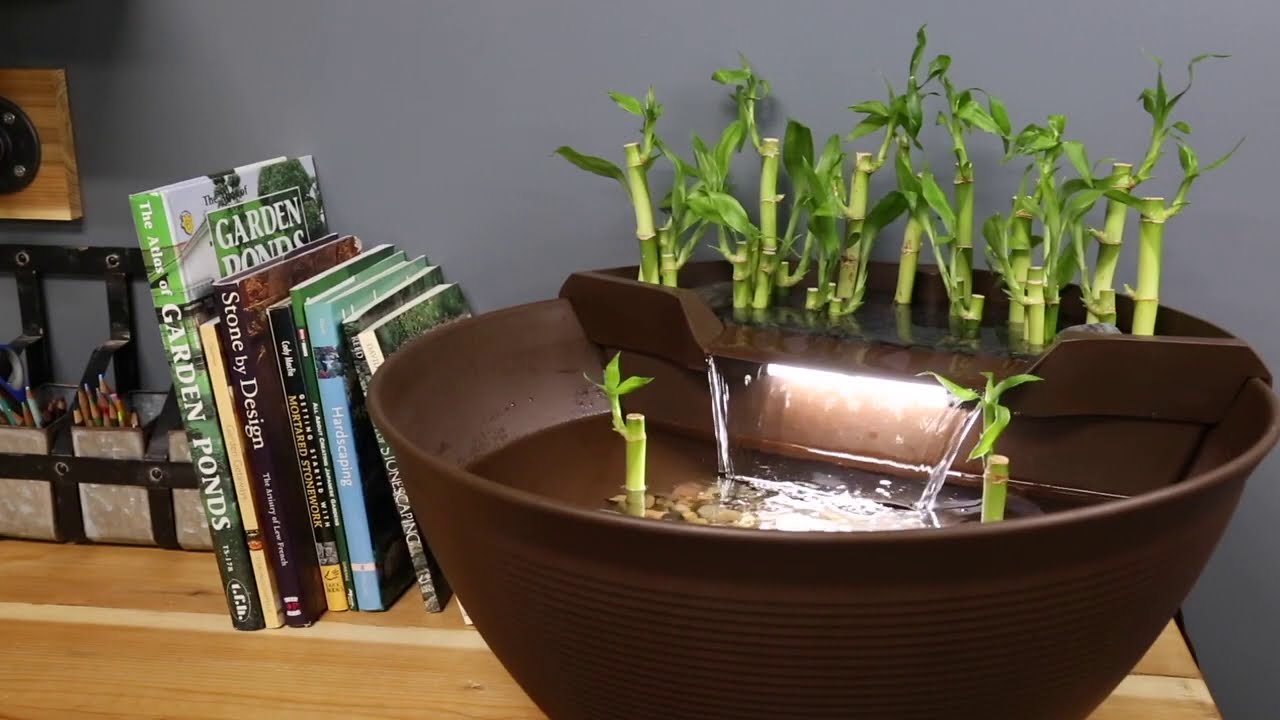 AquaGarden Mini Pond Kit