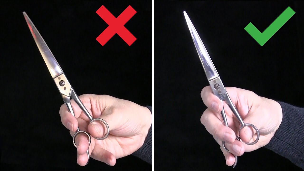 3 Common Mistakes When Holding Dog Grooming Scissors