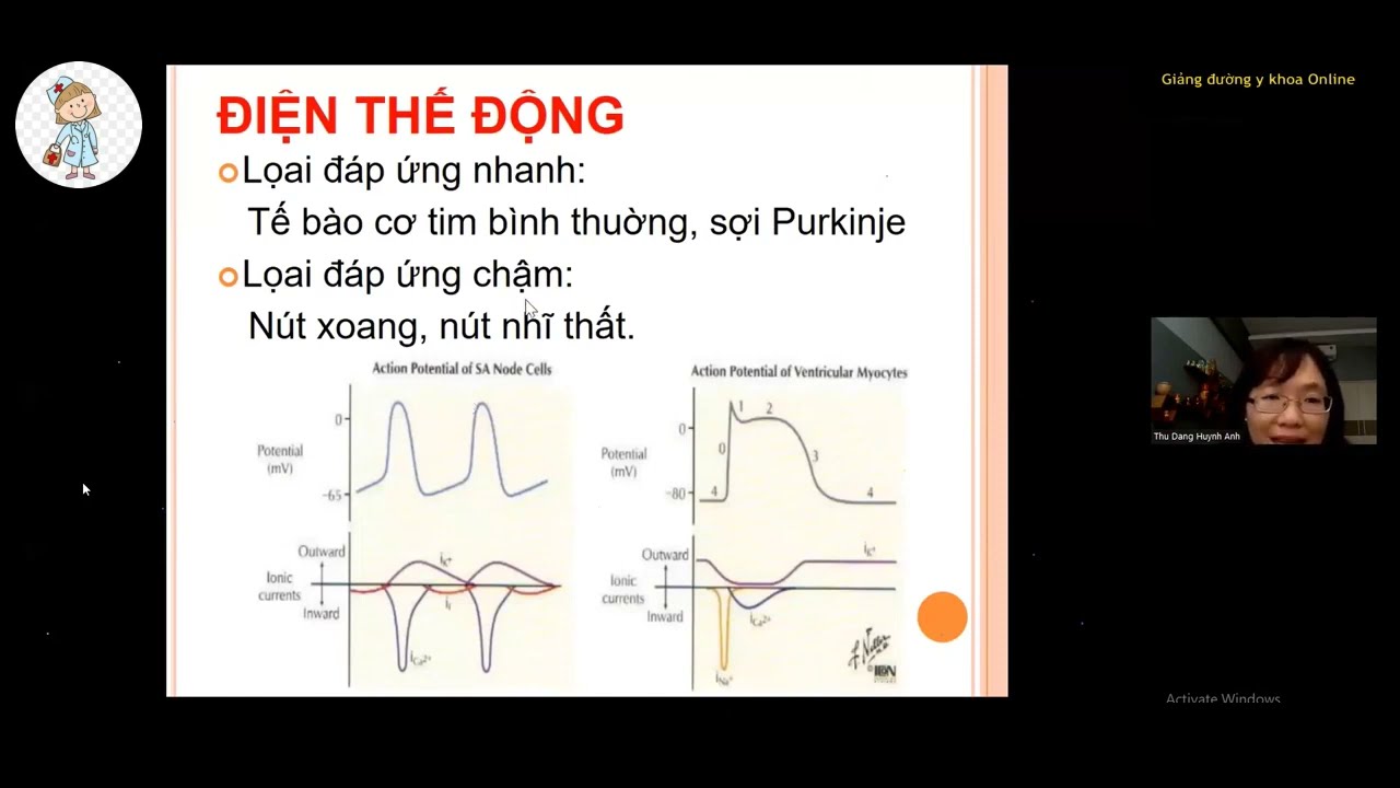 SINH LÝ TIM MẠCH | ThS. BS. Đặng Huỳnh Anh Thư | Ôn thi CKI 2023