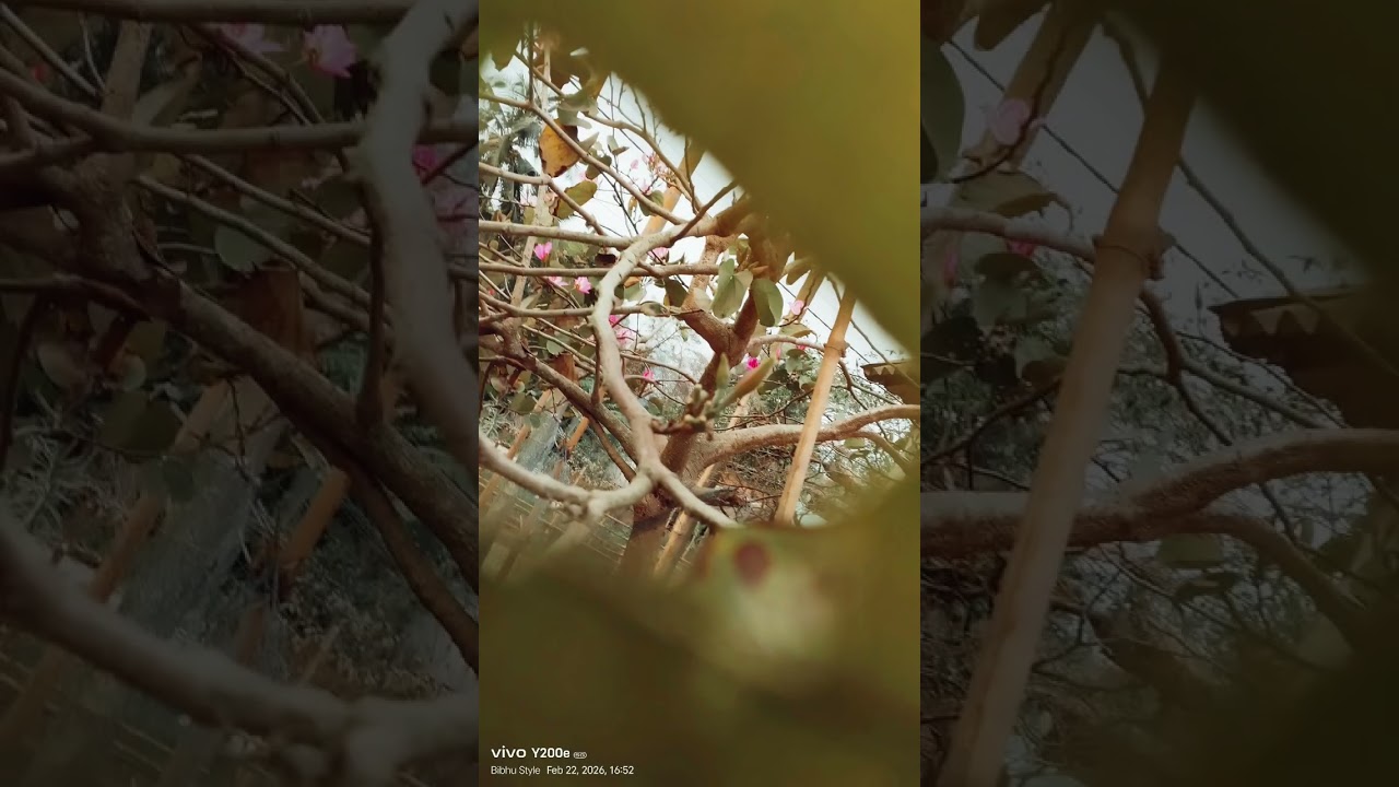 ମୋ ଜନ୍ମଭୂମି, ମୋ ଗାଁ, ଚମାରଗାଁ, 