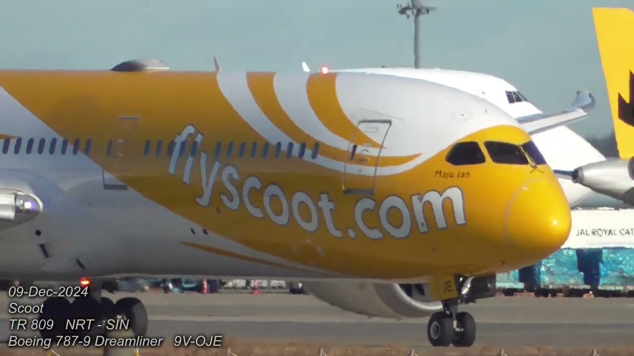 Scoot Flight TR809  taking off from Narita Airport