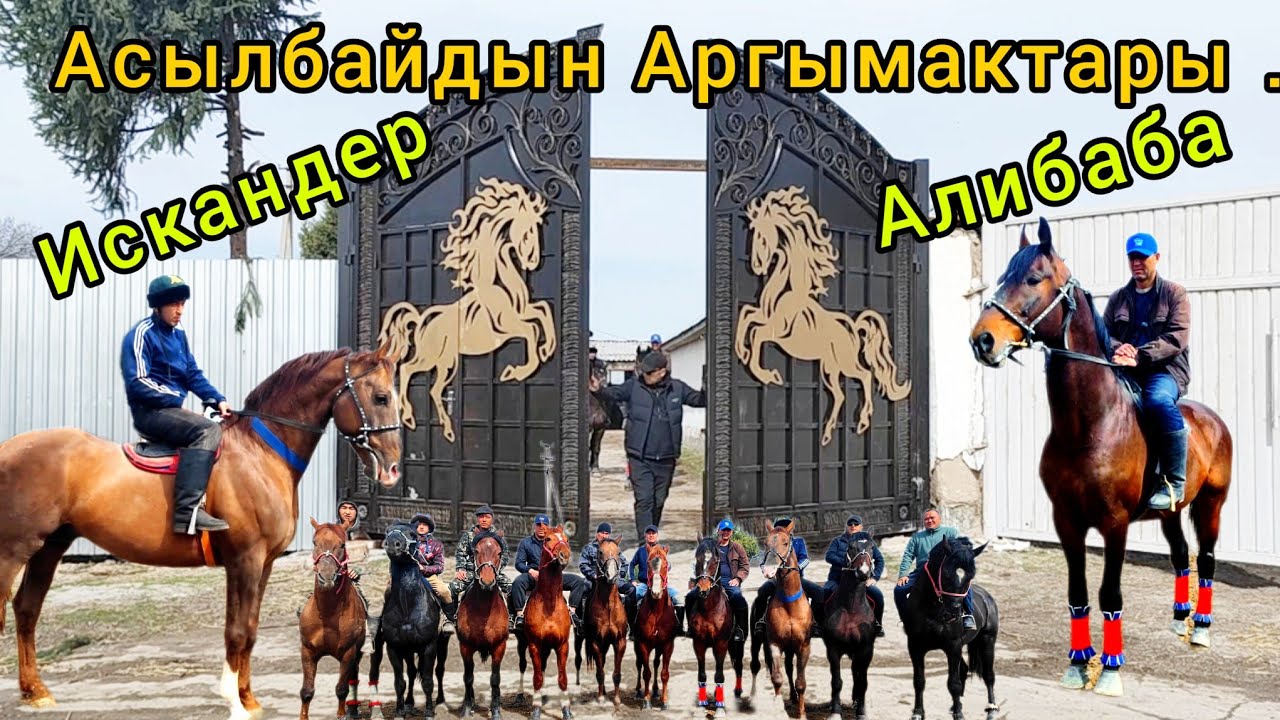 Алибаба Искендер Хан жана башка Аргымактар Бишкекте👆