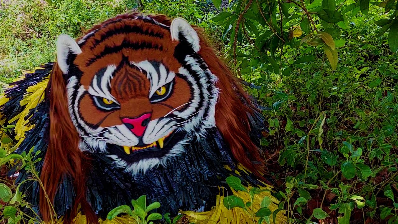 lions and tigers look for prey | Macan Dan Buto Gedrok Part 1 | Can Macanan Singo Manggala