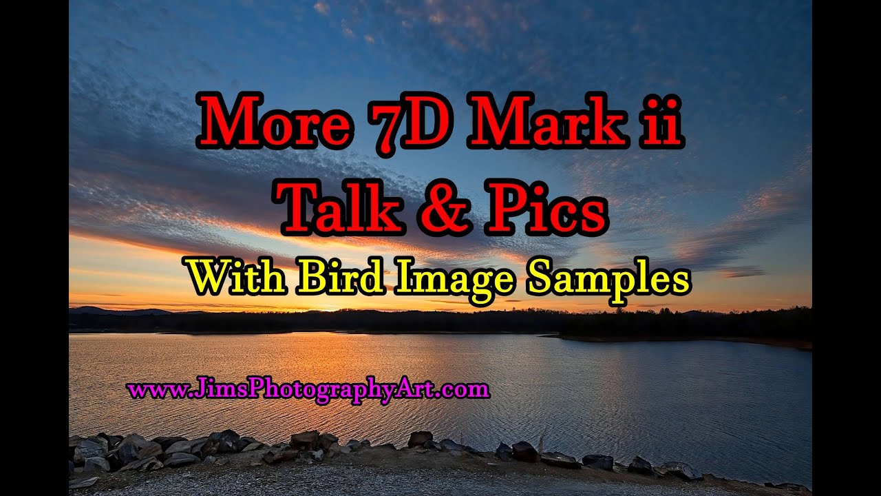 More 7D Mark ii Talk and Pics - Bird Pic Samples