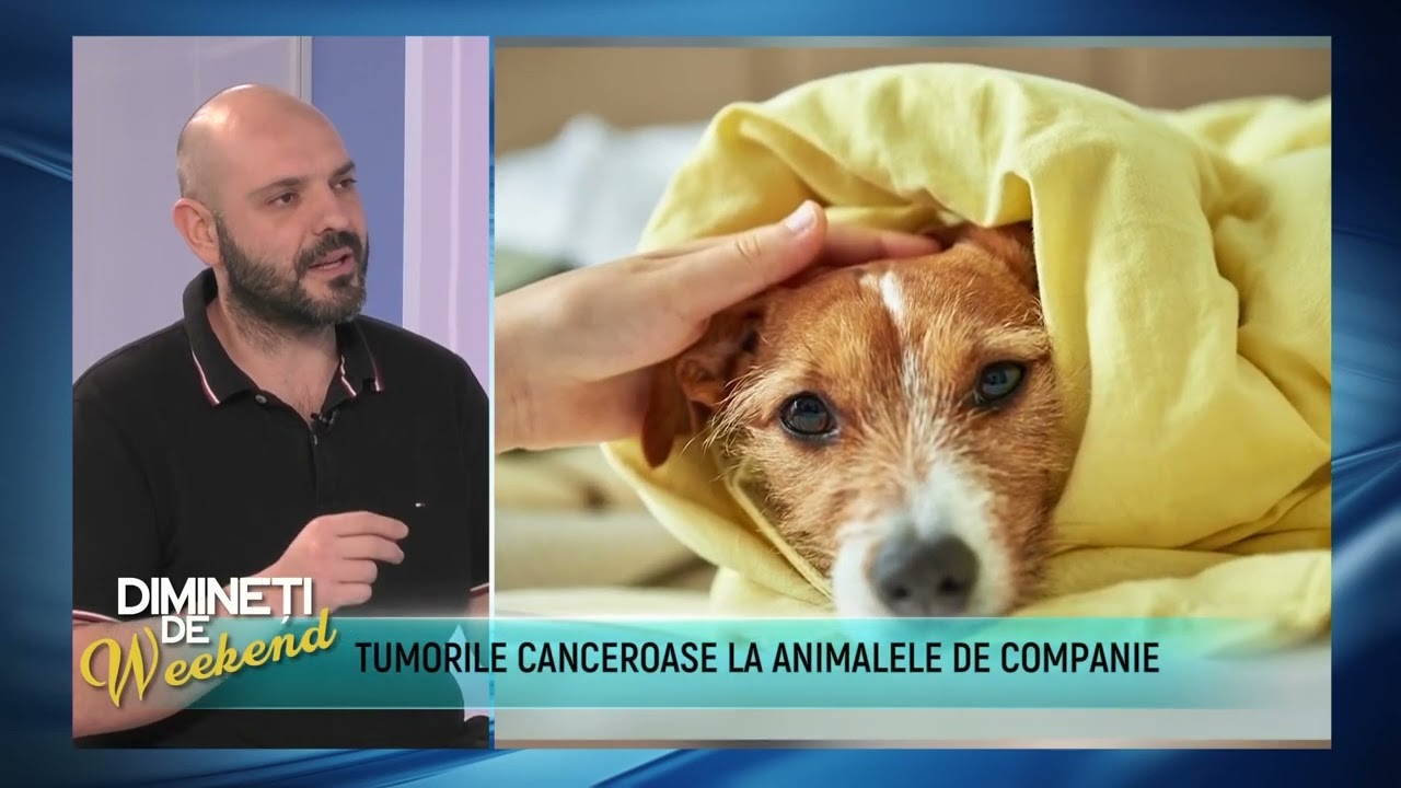 pet-stuff.ro | Spital Veterinar | Tumorile canceroase la câini