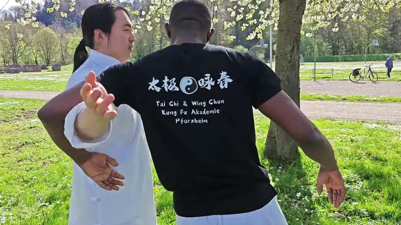 Tai Chi 24 Outdoor Training - Sektion 5 & 6
