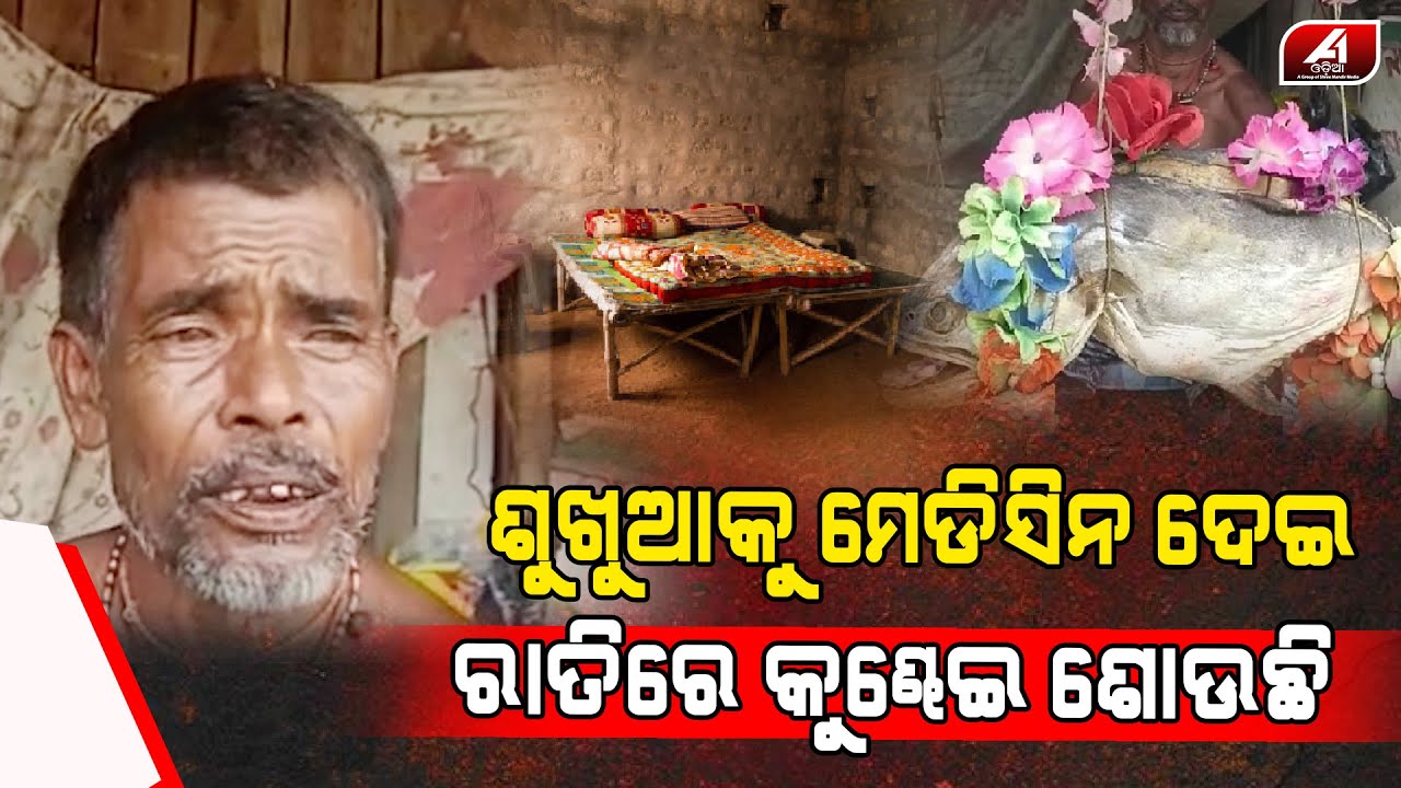 ମୋ ସ୍ତ୍ରୀ ଗଲା ପରେ ମୁଁ ଶୁଖୁଆ ସହିତ ରାତି କାଟୁଛି | Bhadrak sukhua | Viral video | @A1ODIA