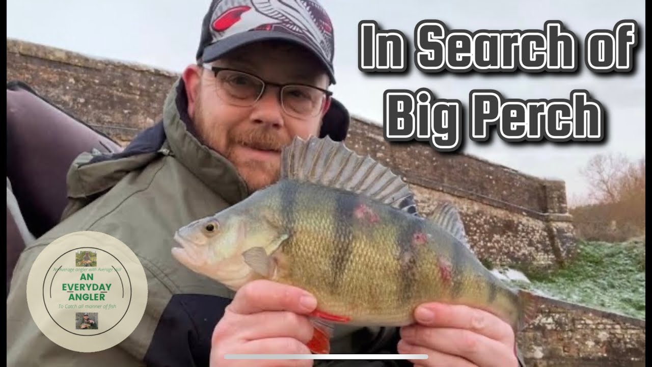 Kennet and Avon Canal - In Search of Big Perch