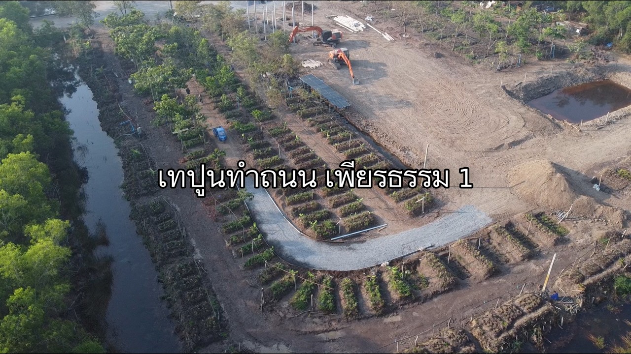 690116 เทปูนทำถนน เพียรธรรม 1