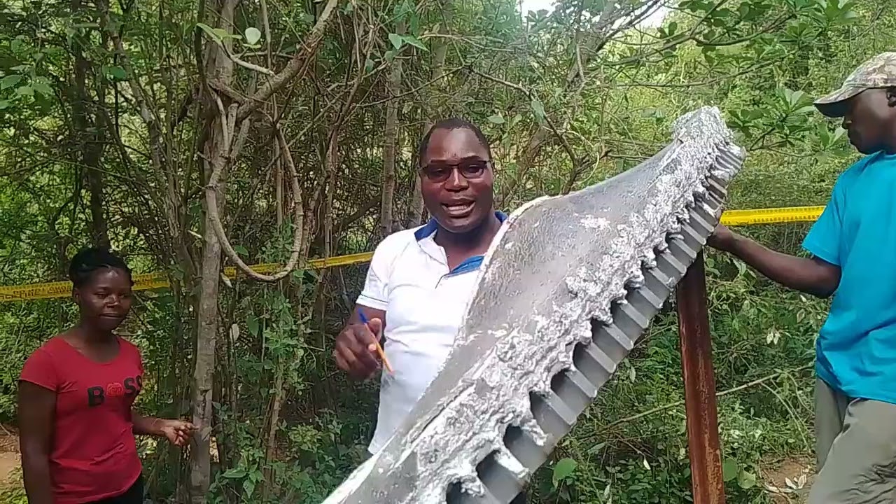 IT WAS A BIG MISTAKE FOR THIS PART OF A ROCKET TO FALL IN OUR LAND