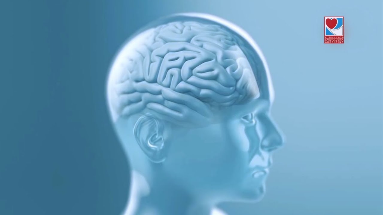 ¿Sabías que los deportes se practican con el cerebro?