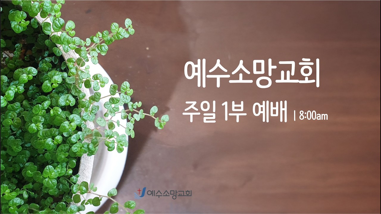 예수소망교회 2026년 2월 8일  주일 1부예배 / 김세업 목사